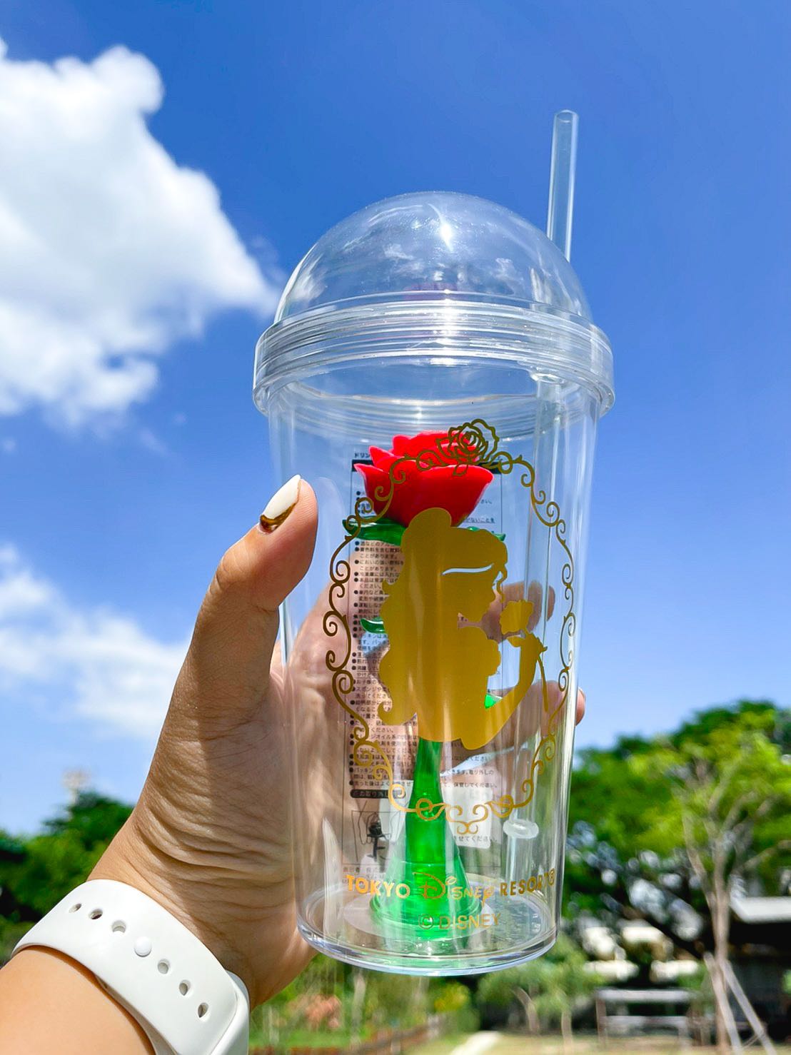 แก้ว beauty & the beast