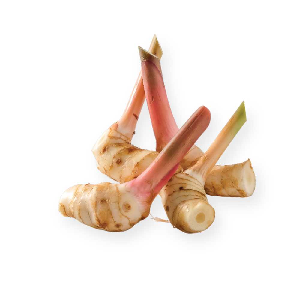 FG12023 ข่าอ่อน Young galangal ( 200g )