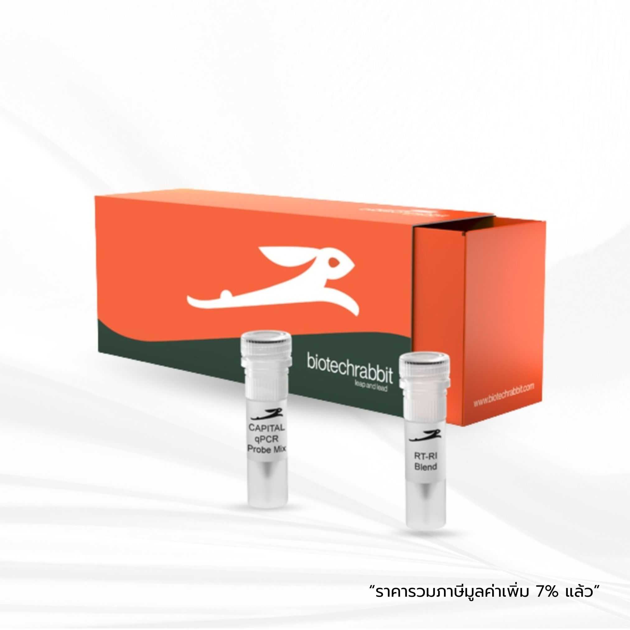 biotechrabbit 4X CAPITAL™ 1-Step qRT-PCR Green Master Mix HROX