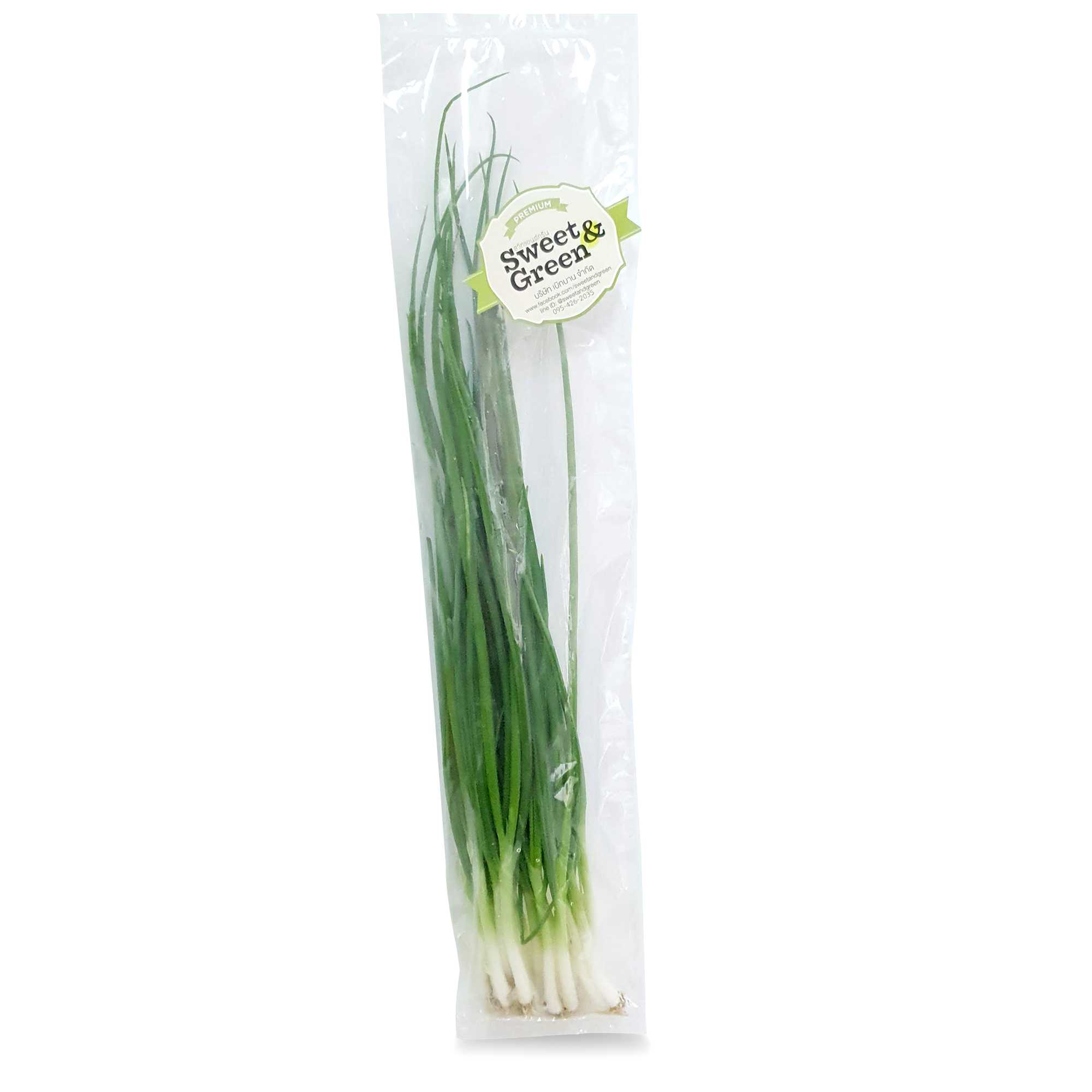 Spring Onion (ต้นหอม )