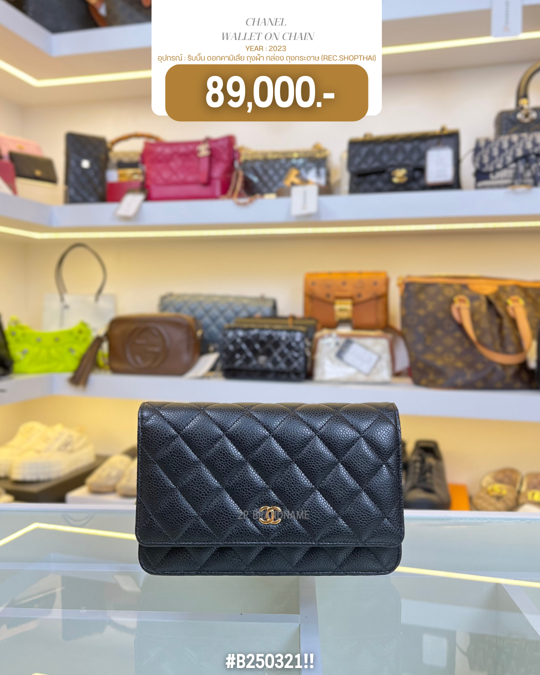 CHANEL  WALLET ON CHAIN (B250321)