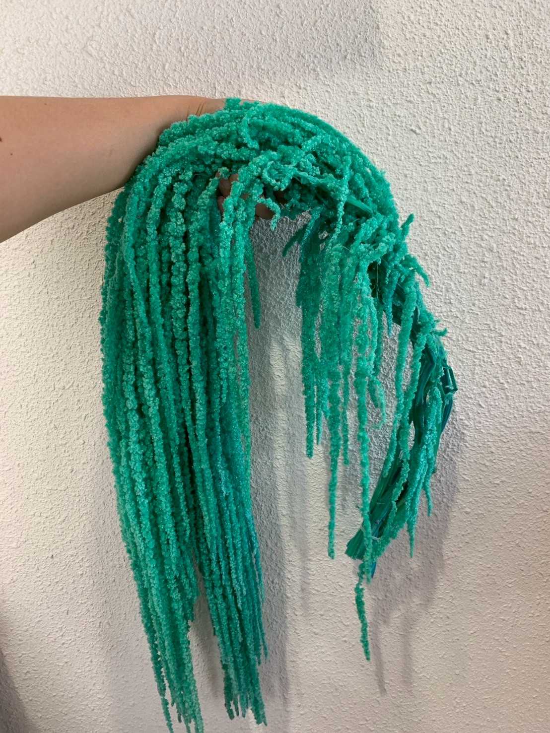 ผักโขมแห้ง - เขียว(g)