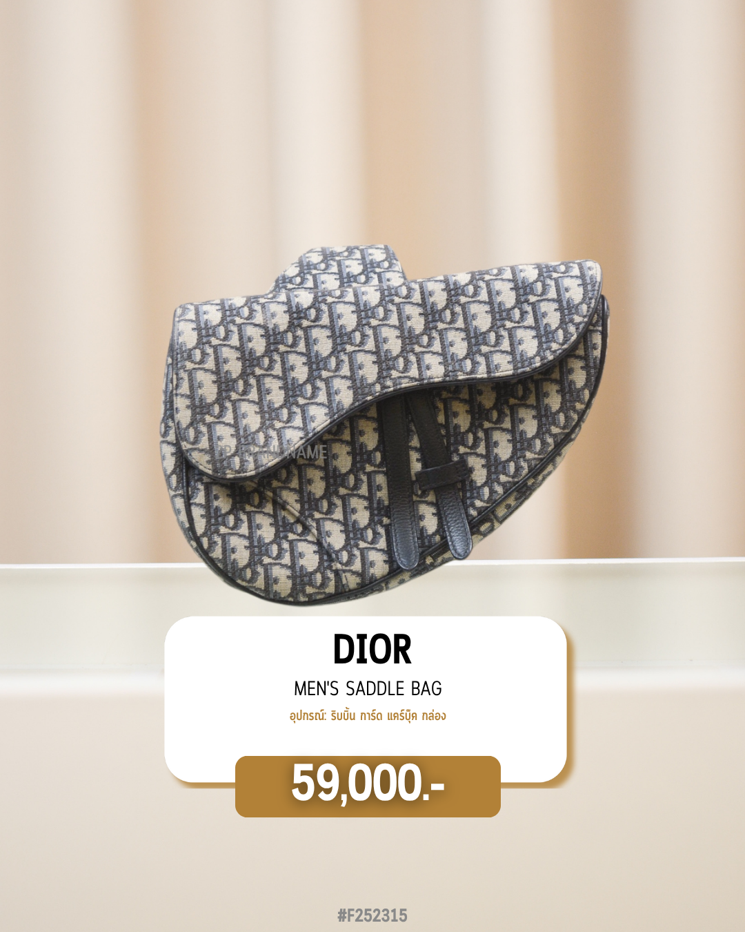 Dior      Men's Saddle Bag (#F252315)