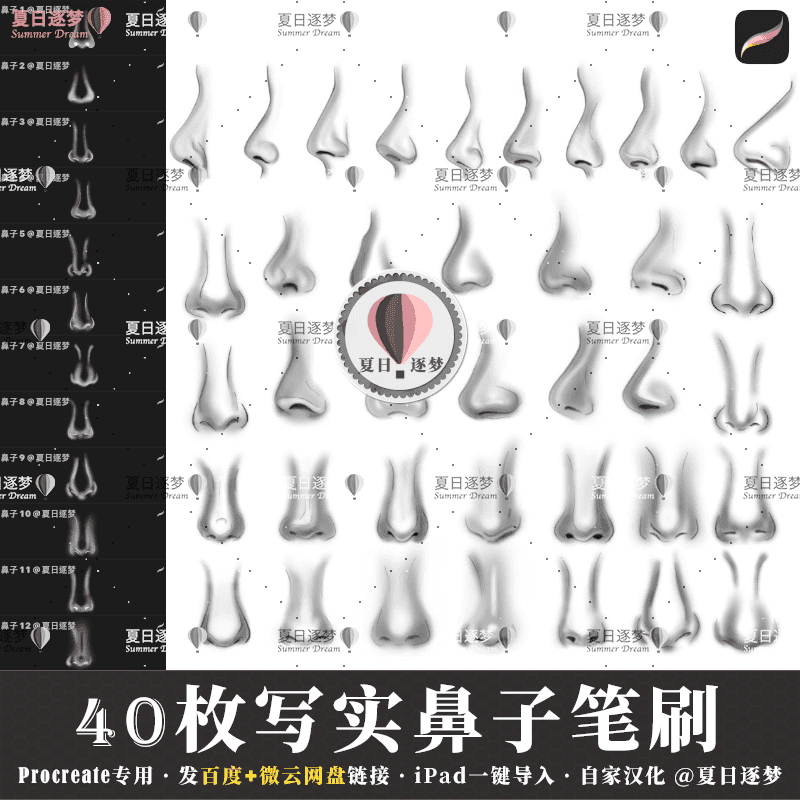 BHE012 Procreate บรัชเบส จมูก โครงร่าง 40 บรัช