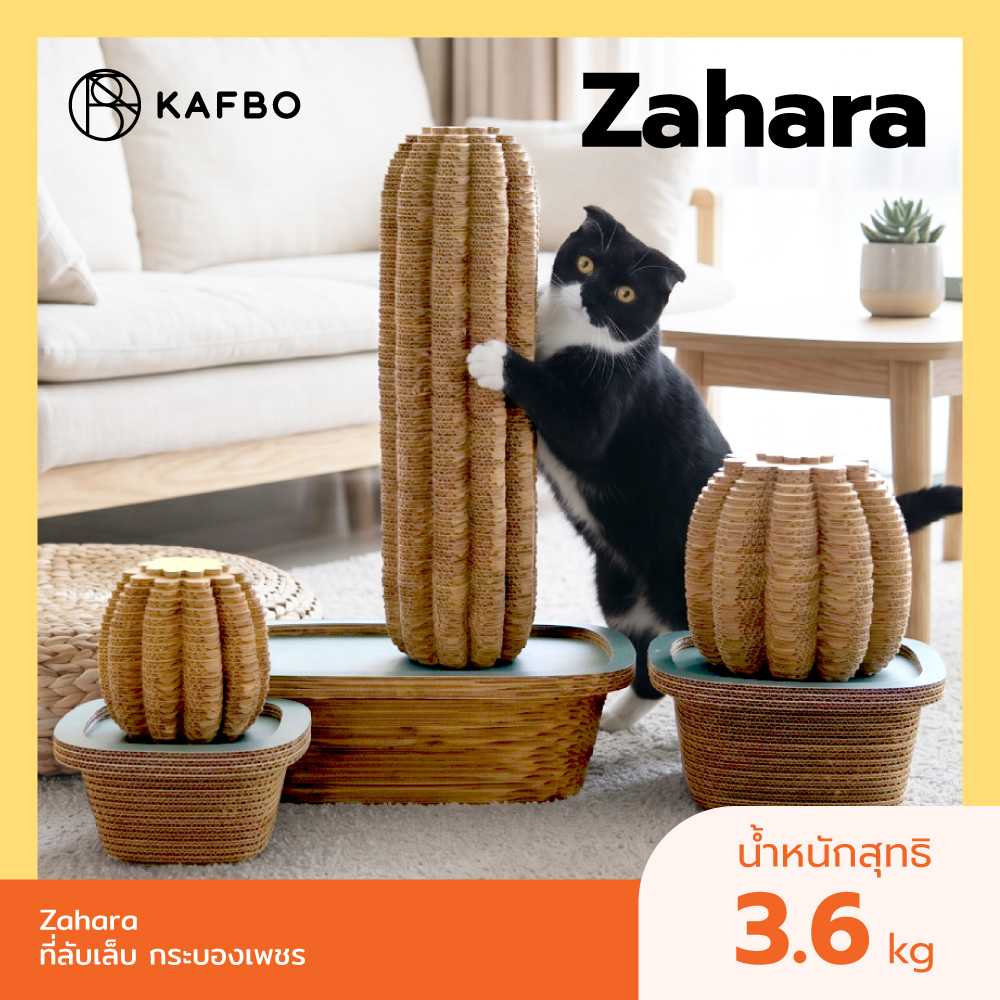 KAFBO Zahara ที่ลับเล็บกระบองเพชร ที่ข่วนเล็บแมว ของเล่นแมว ที่นอนแมว Set 3 pcs