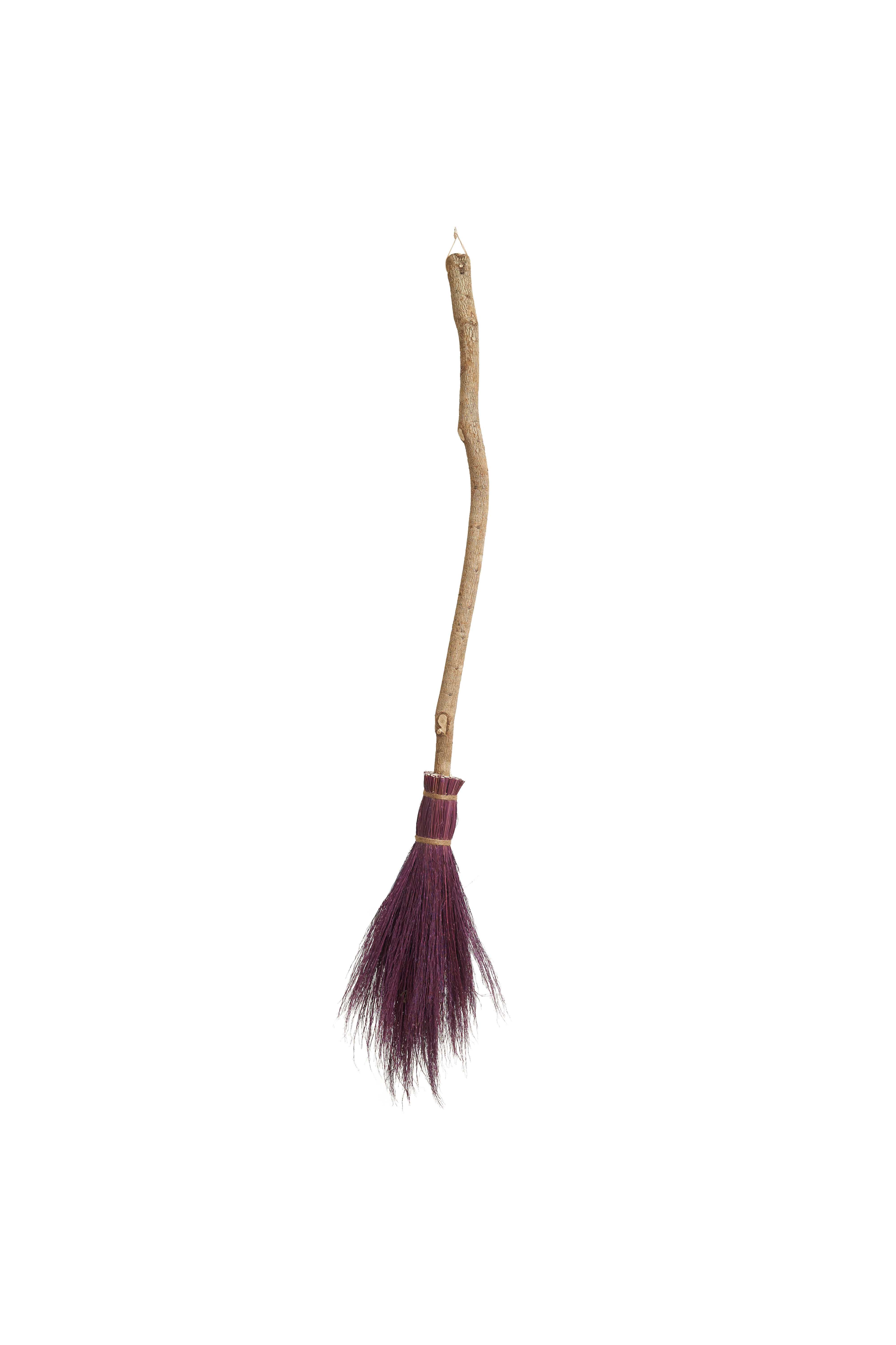 Spooky Broom - Classic Magnum (Purple)