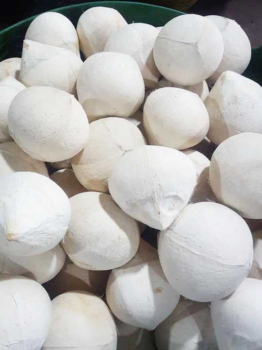 มะพร้าวน้ำหอม Coconut