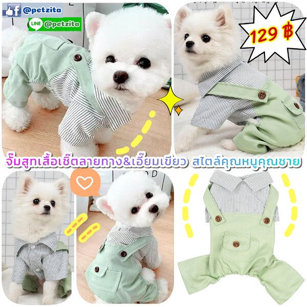 🇹🇭พร้อมส่ง🇹🇭 🤷👨💼จั๊มสูทเสื้อเชิ๊ตลายทาง&เอี๊ยมสีเขียว สไตล์คุณหนูคุณชายสุดน่ารัก for pet