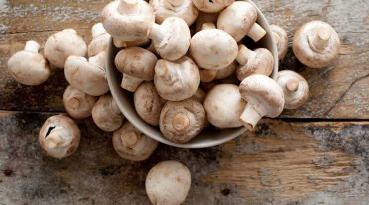 เห็ดแชมปิญอง champignon mushroom(100g)