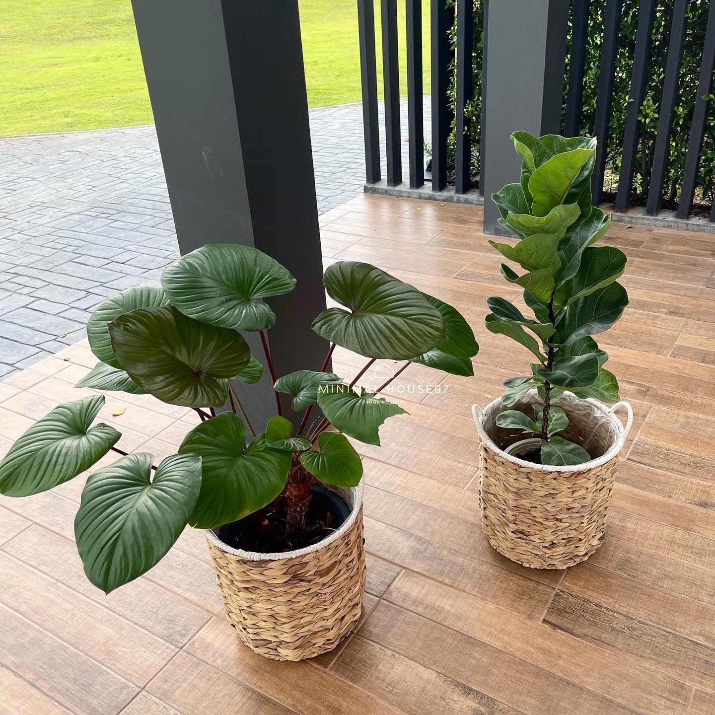 [พร้อมส่ง] Plant Pot : กระถางต้นไม้ กระถางผักตบชวาสาน กระถาง กระถางมินิมอล