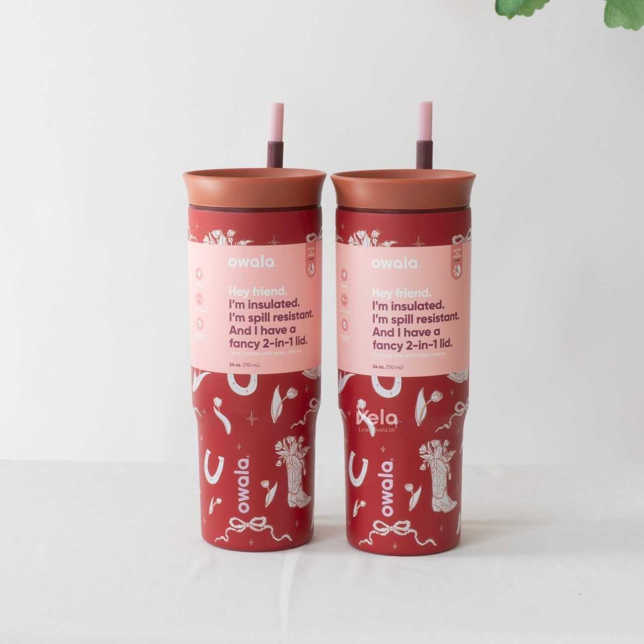 Owala Tumbler Birthday Bash 24 oz (Giddy up)