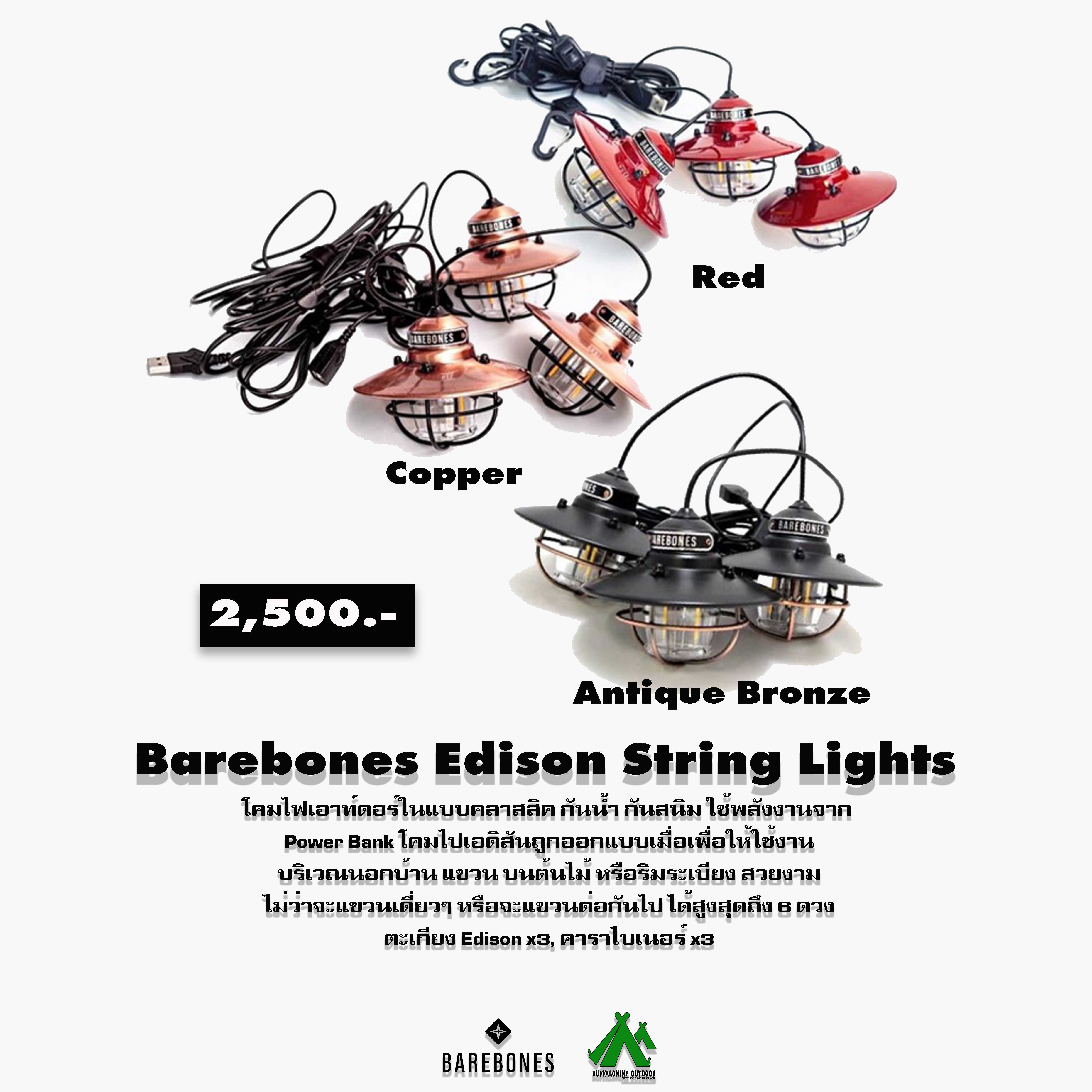 Barebones Edison String Lights