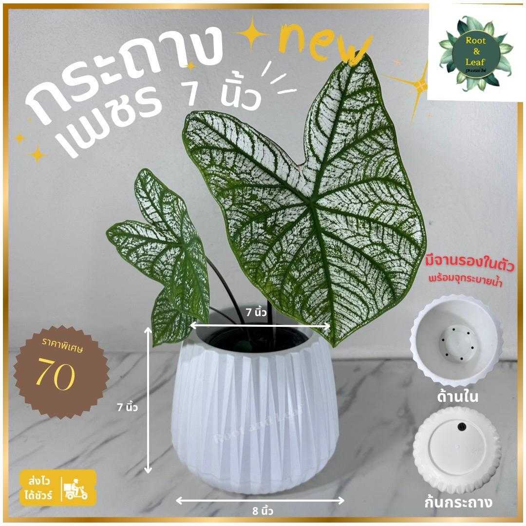 กระถางต้นไม้มินิมอล ทรงเพชร ขนาด 7นิ้ว