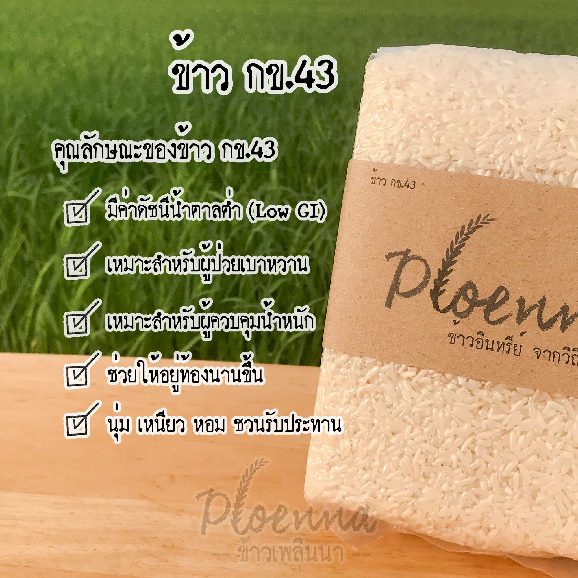 ข้าวกข.43 ข้าวเบาหวาน เพลินนา