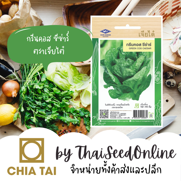 CTF1 เมล็ดผักสลัด กรีนคอสซีซ่าร์ ตราเจียไต๋ Green Cos Ceasar Lettuce