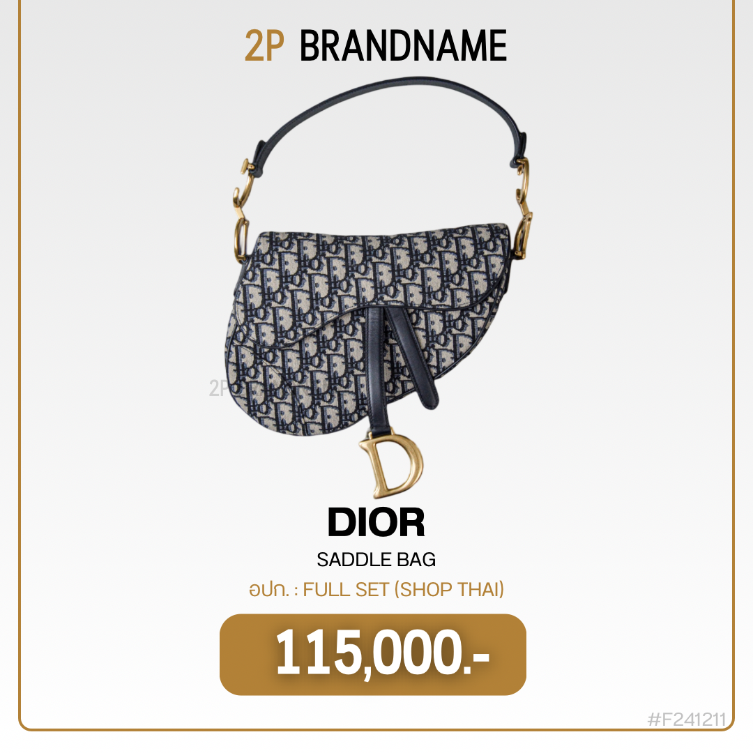 Dior Saddle Bag (F241211)
