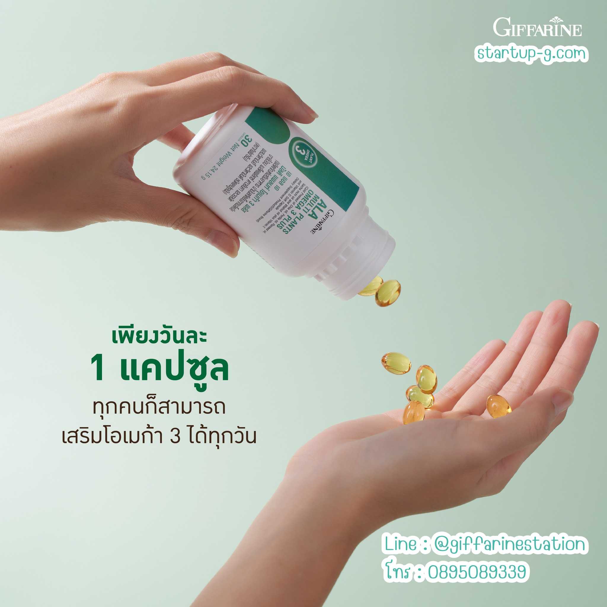 ALA โอเมก้า 3 จากพืช เข้มข้นสูง พฤษเคมีอันทรงคุณค่า จากพืชถึง 5 ชนิด Giffarine