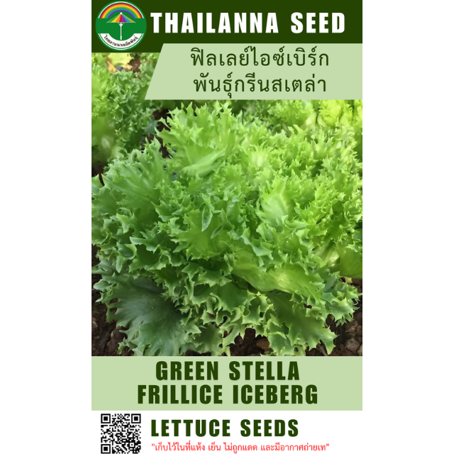 ฟิลเลย์ไอซ์เบิร์ก พันธุ์กรีนสเตล่า ( ขนาด 10 กรัม ) รหัสสินค้า 1002