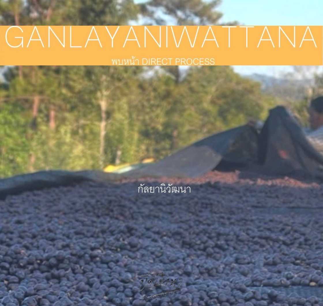 กัลยานิวัฒนา Galayaniwattana