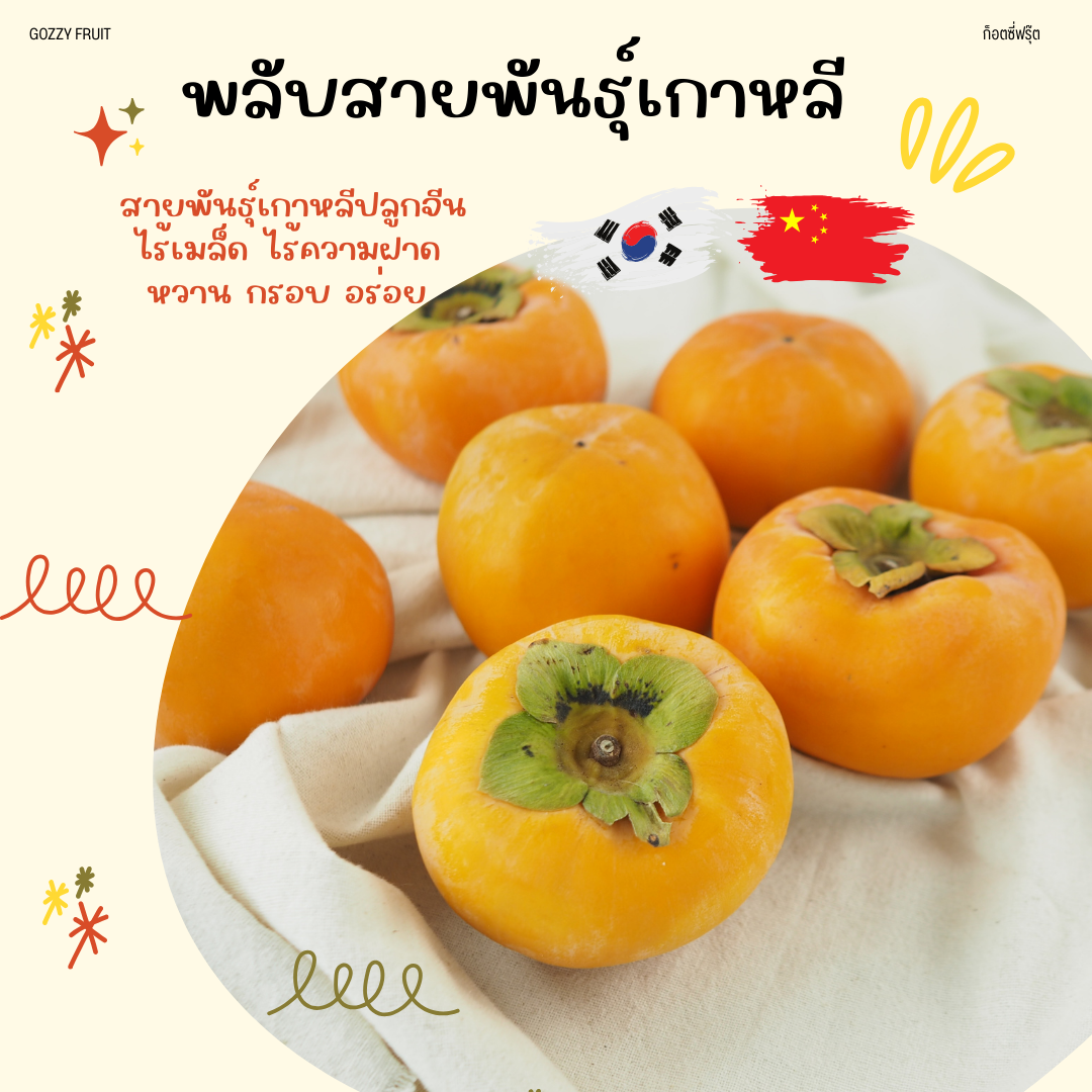 พลับสายพันธุ์เกาหลี 