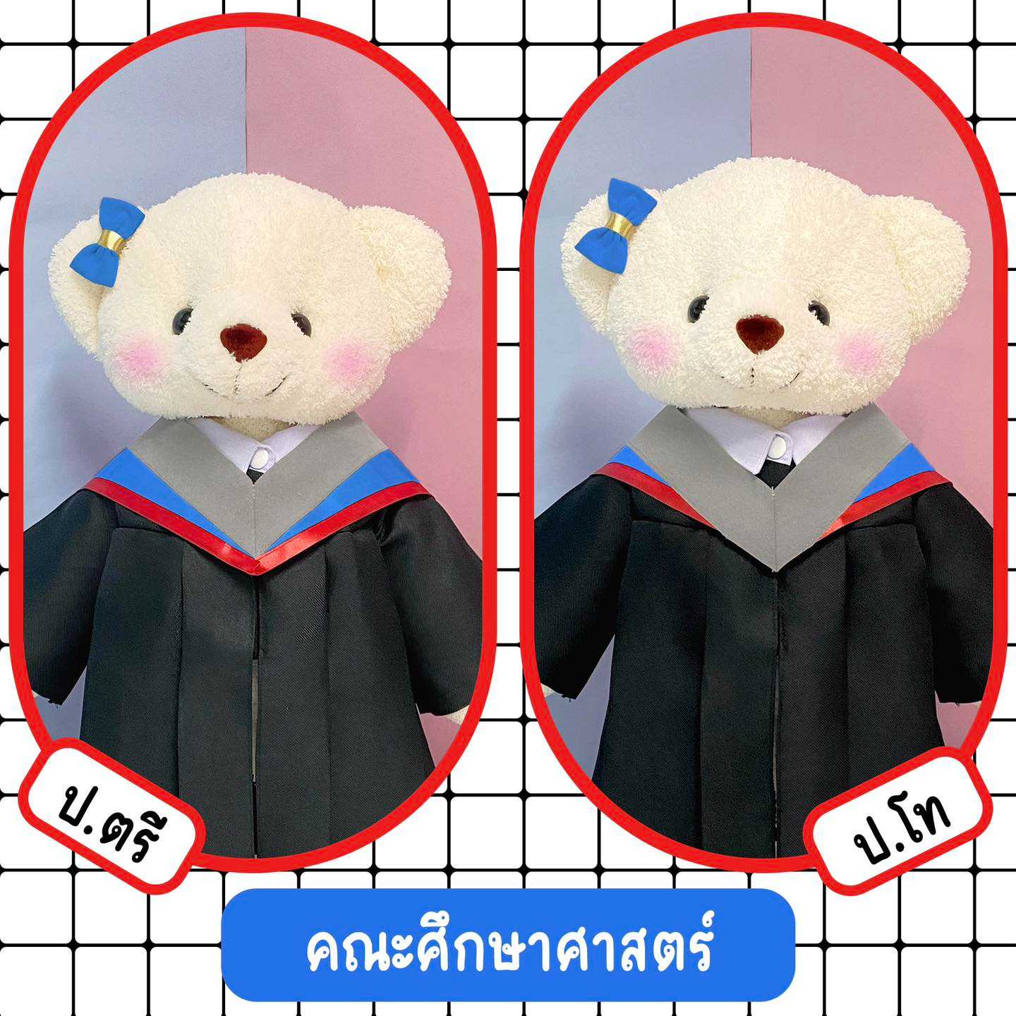 ตุ๊กตาหมีชุดครุย มศว คณะศึกษาศาสตร์