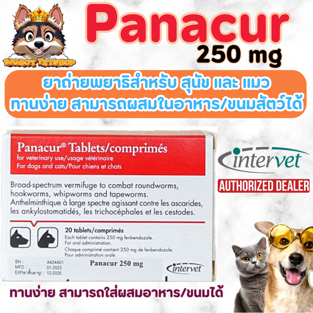 Panacur ยาถ่ายพยาธิ สำหรับสุนัขและแมว ทานง่าย ไม่มีรสและกลิ่น ผสมอาหาร/ขนมแมวเลียได้