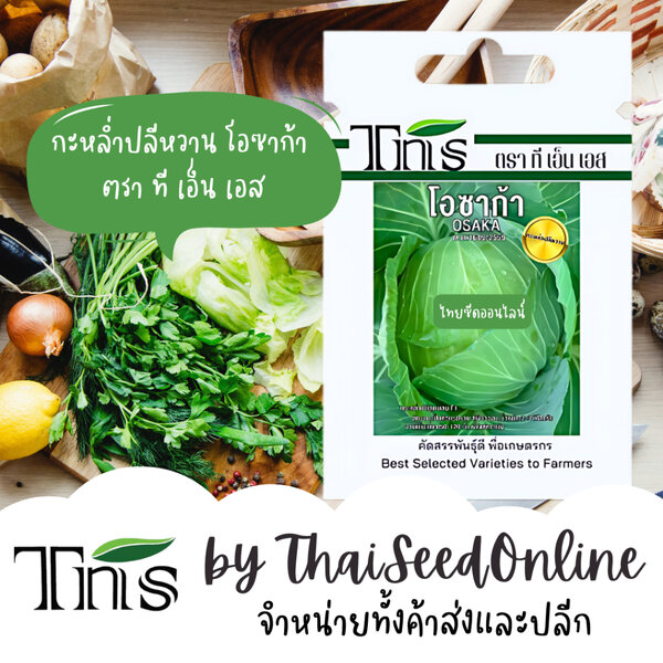 TNS(ทีเอ็นเอส) TNS(ทีเอ็นเอส) TNS เมล็ดพันธุ์แบบซองเล็ก กะหล่ำปลีหวาน โอซาก้า ตรา ที เอ็น เอส