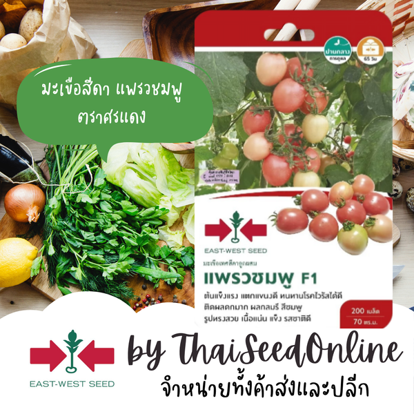 GGEW เมล็ดพันธุ์ซฟ มะเขือเทศสีดาแพรวชมพู 150เมล็ด ตราศรแดง มะเขือสีดา Tomato