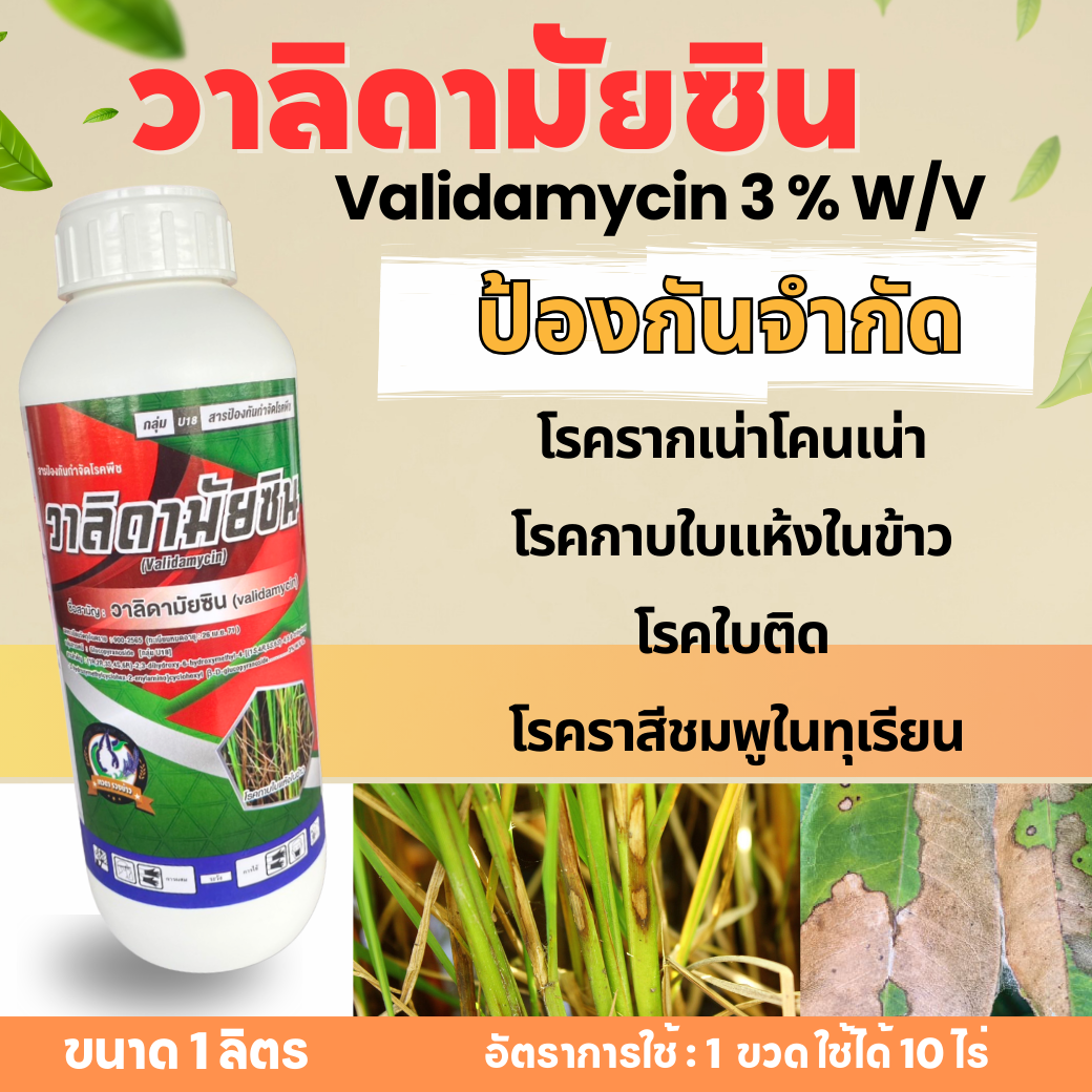วาลิดามัยซิน ขนาด 1000 cc ยาฆ่าเชื้อรา ป้องกันโรคใบไหม้ของข้าว