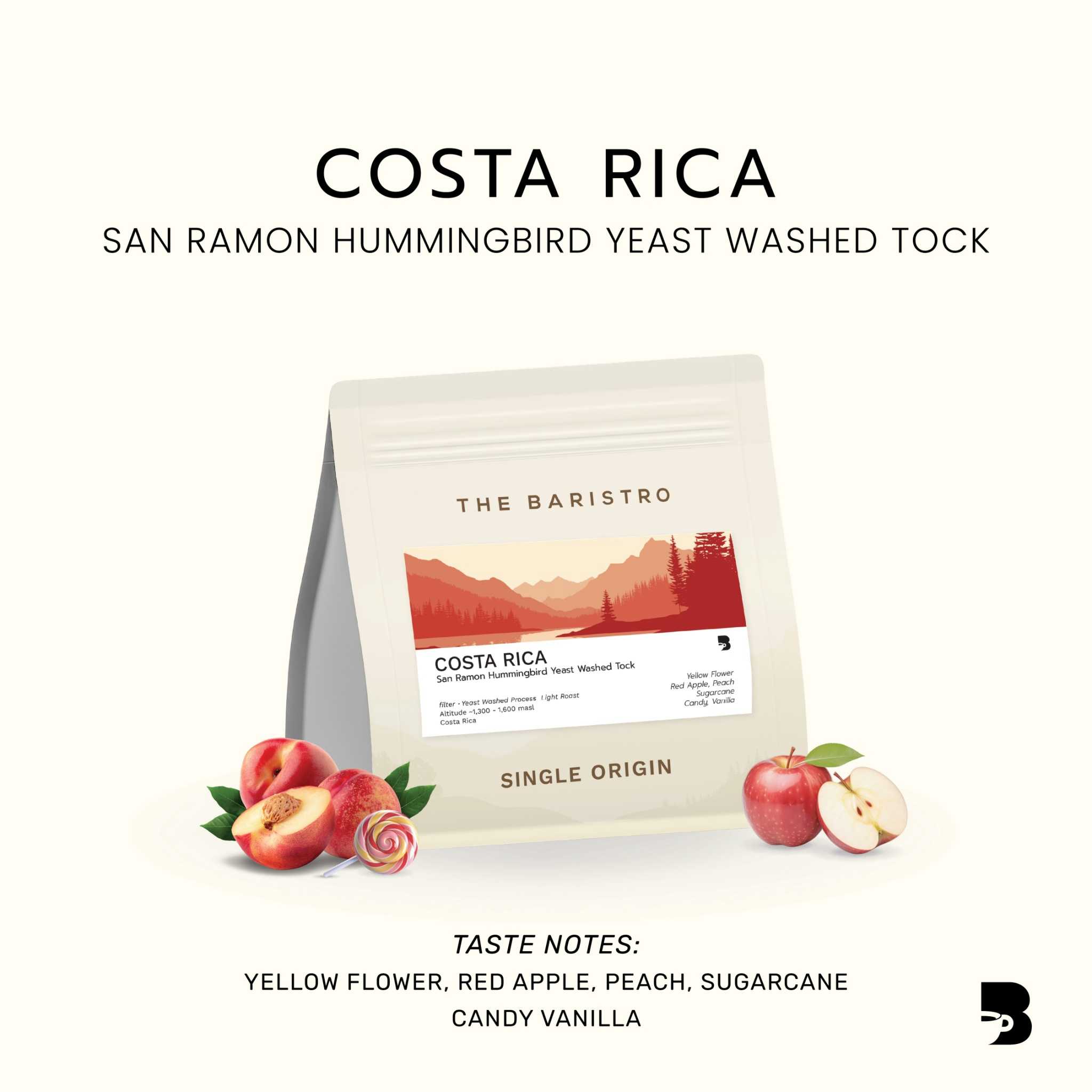 เมล็ดกาแฟ คั่วอ่อน - Costa Rica San Ramon Hummingbird