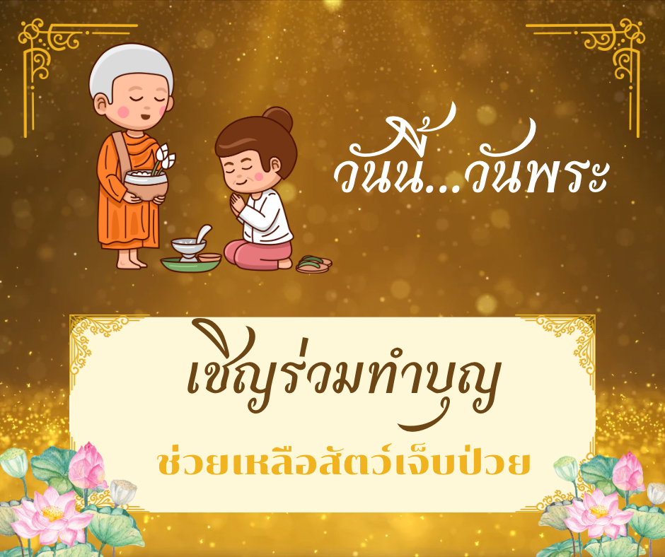 ทำบุญทำทานวันพระ ช่วยเหลือสัตว์เจ็บป่วย