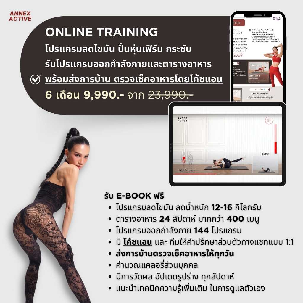 รับโปรแกรม + เทรน 6 เดือน ANNEX ACTIVE ONLINE TRAINING COURSE