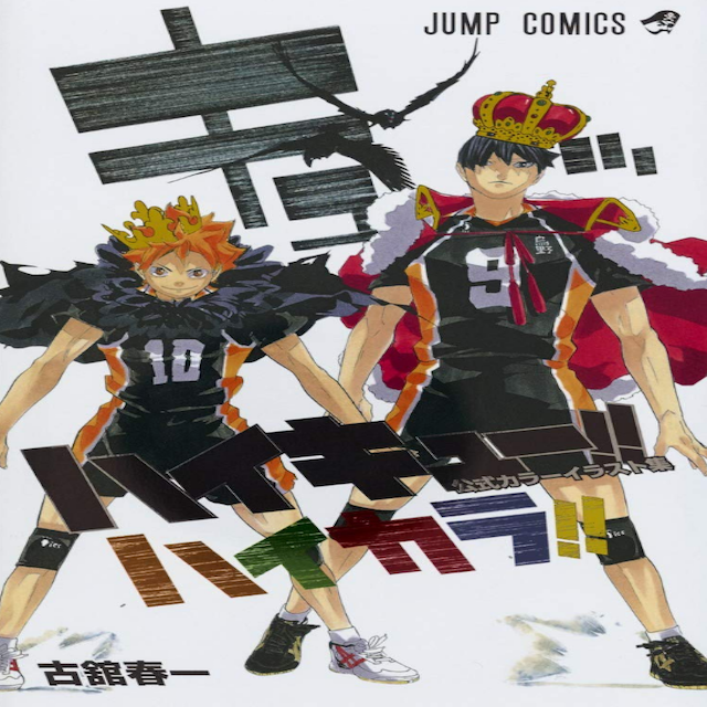 Haikyuu! Color Official Illustration  (Haruichi Furudate)