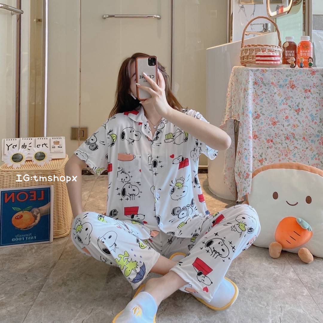 สนูปปี้ ลายใหม่