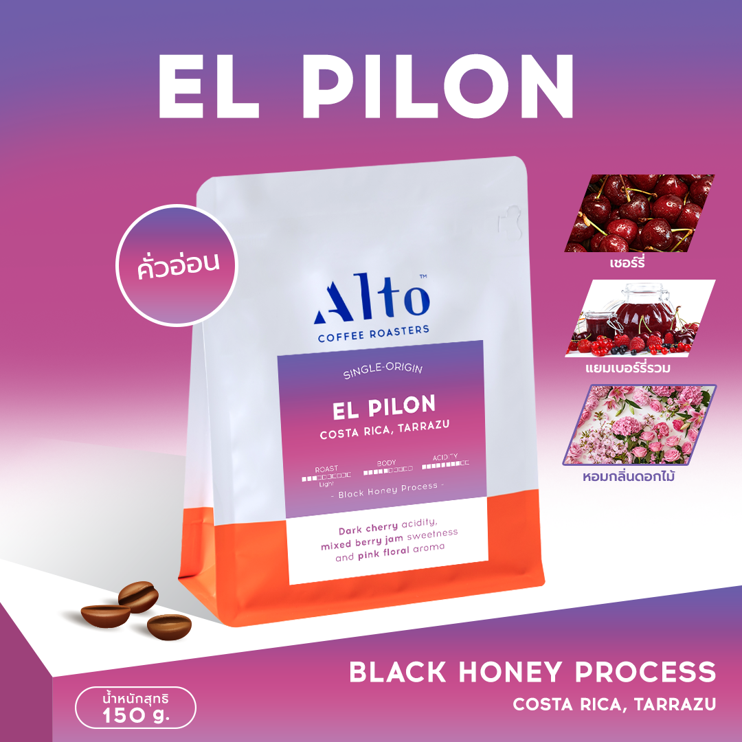 Coffee Beans เมล็ดกาแฟคั่ว - EL PILON, Costa Rica (150g)