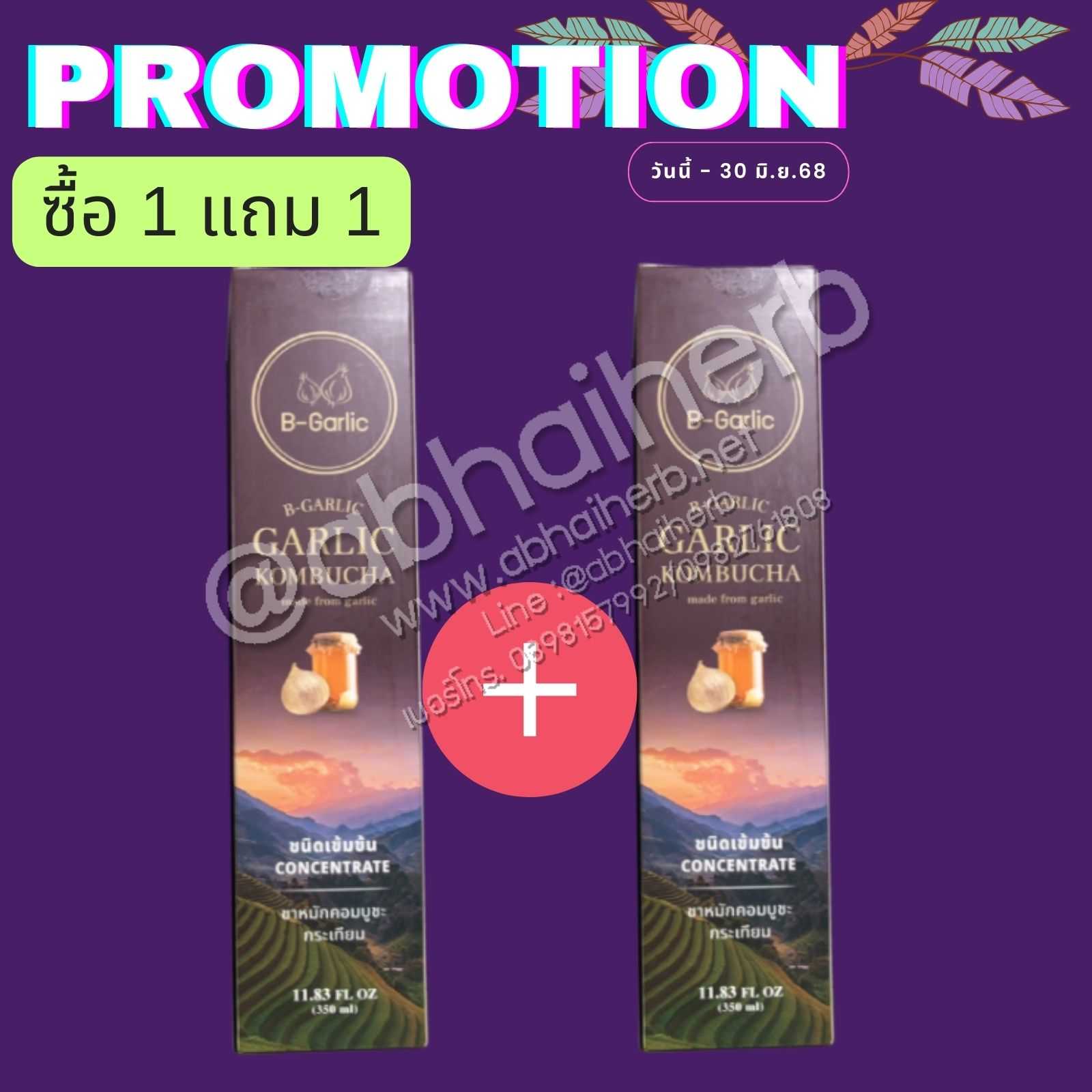 โปรโมชั่น ซื้อ 1 แถม 1 Black Garlic Kombucha Concentrate ชาหมัก กระเทียมดำ ตรา B-Garlic