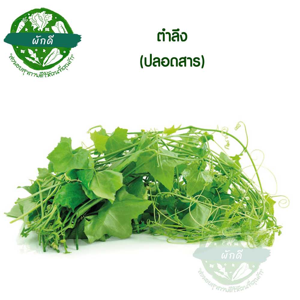 ยอดตำลึง ปลอดสาร (กำ)