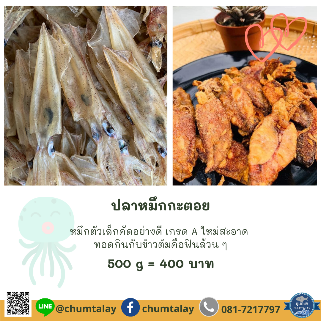 ปลาหมึกกะตอย