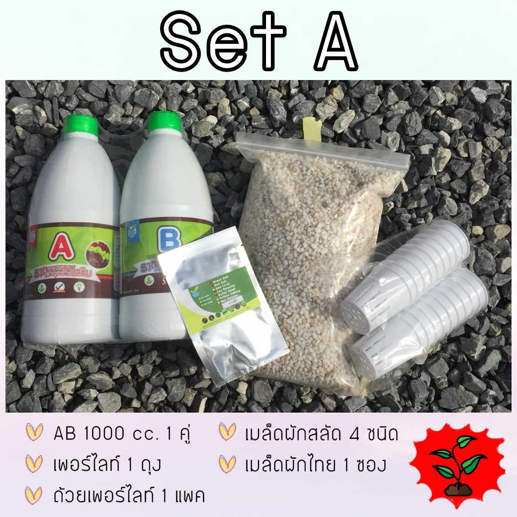 HydroHobbyไฮโดรโปนิกส์ SET A