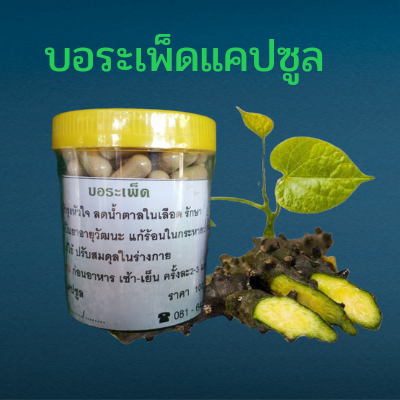 บอระเพ็ด