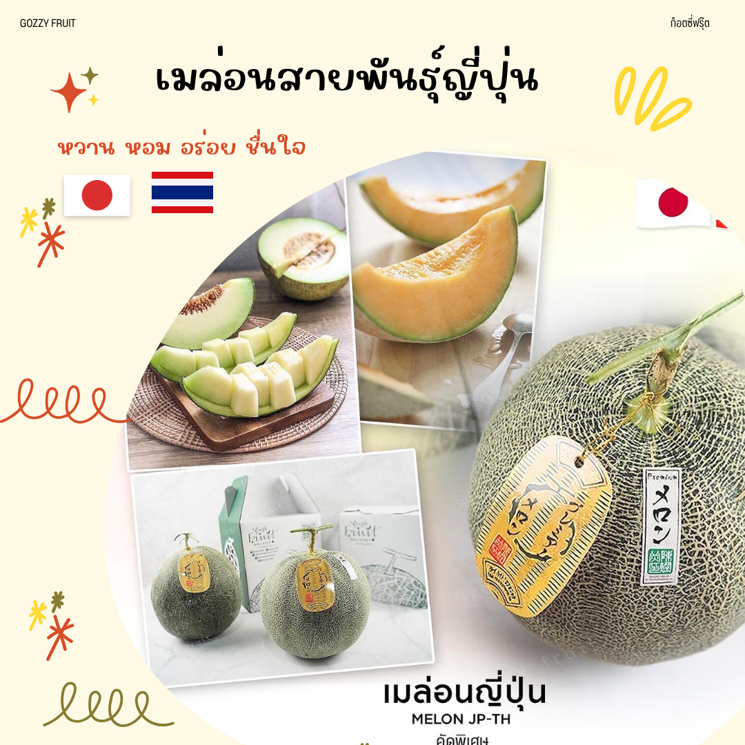 เมล่อนสายพันธุ์ญี่ปุ่น  JP-TH ยอดนิยม