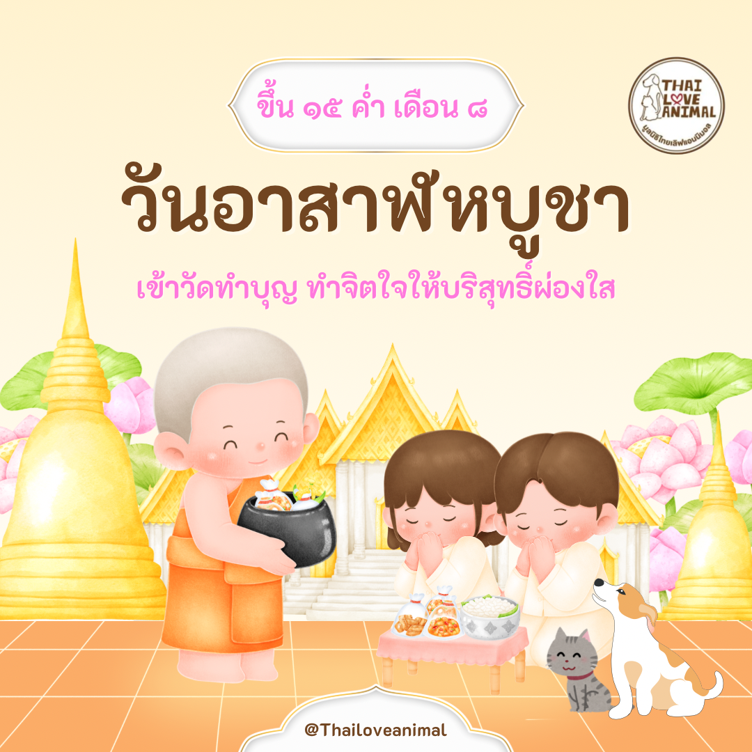 ทำบุญวันพระ อาสาฬหบูชา ช่วยสัตว์เจ็บป่วย