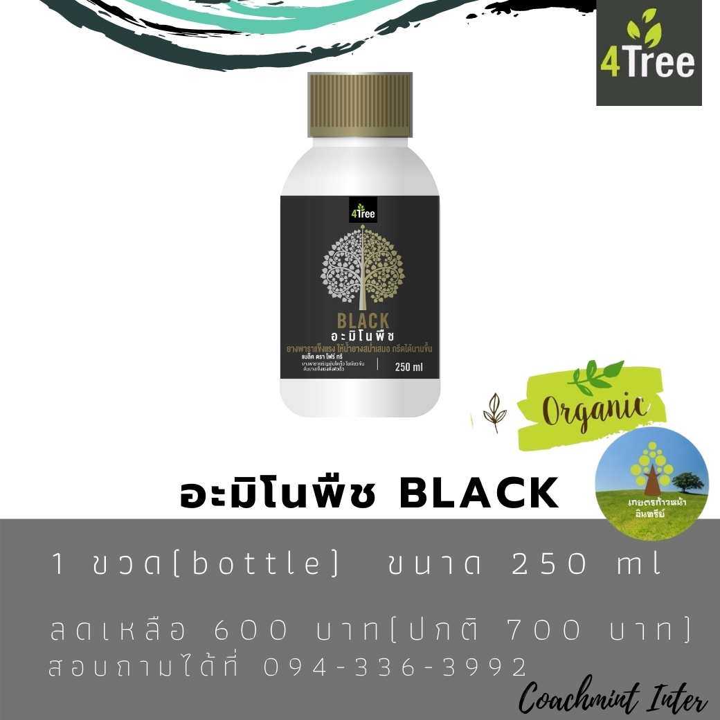 อะมิโนพืช BLACK  1 ขวด (bottle)  ขนาด 250 ml