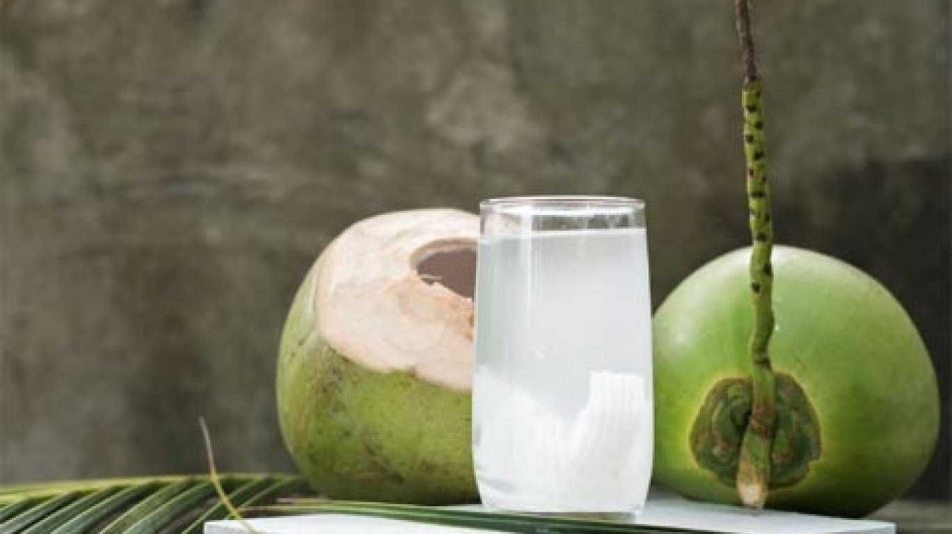 Coconut มะพร้าวน้ำหอม