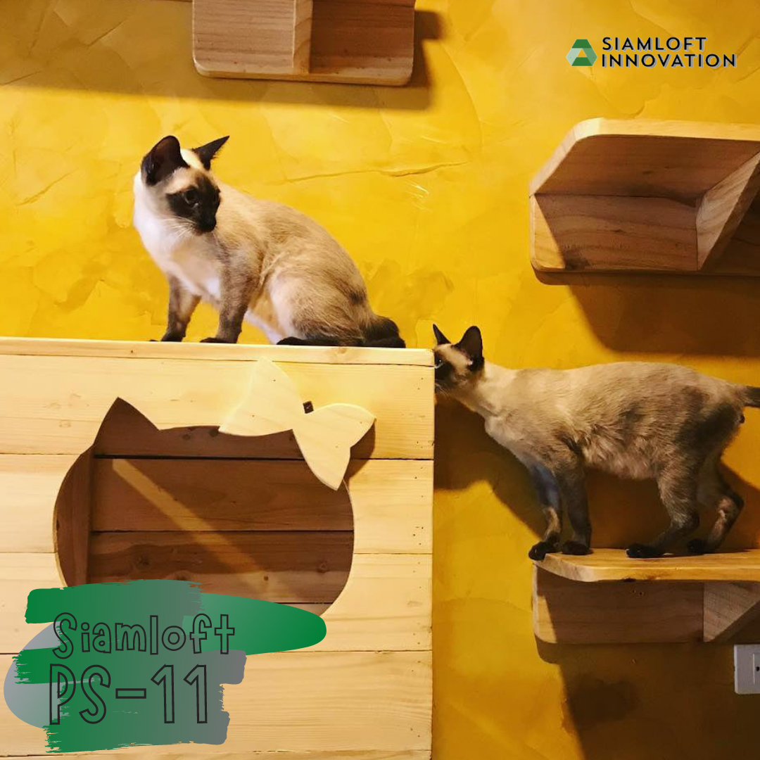 ปูนสยามลอฟท์สูตรผง PS-11 สีเหลืองสยาม ชุดใหญ่ ไม่รวมอุปกรณ์