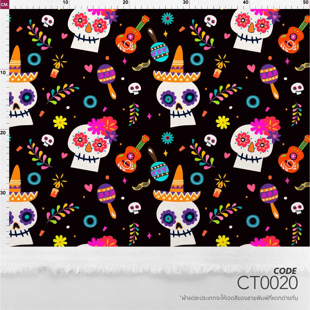 รหัสลาย : CT0020