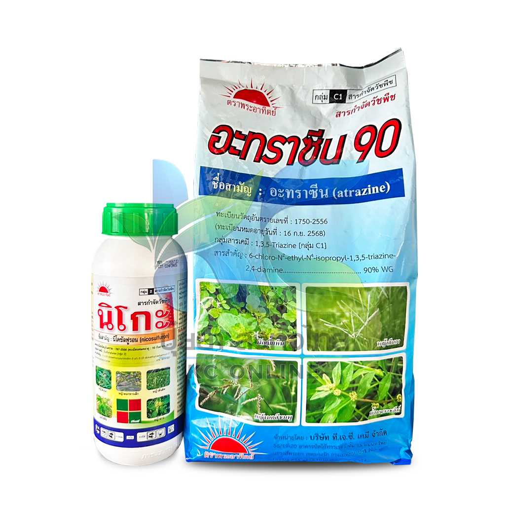 นิโกะ พลัส    (500ซีซี+900กรัม) 1ชุด