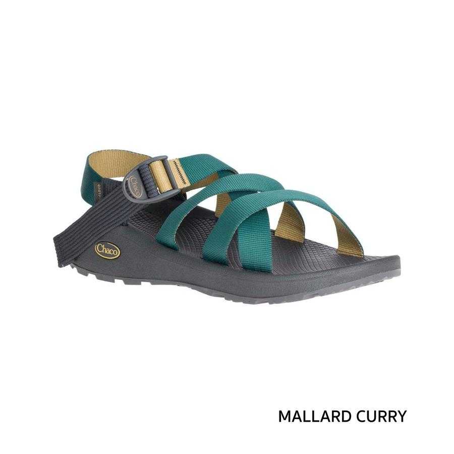 CHACO BANDED Z CLOUD MEN
