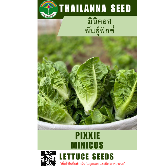 มินิคอส พันธุ์พิกซี่ ( ขนาด 10 กรัม ) รหัสสินค้า 1021