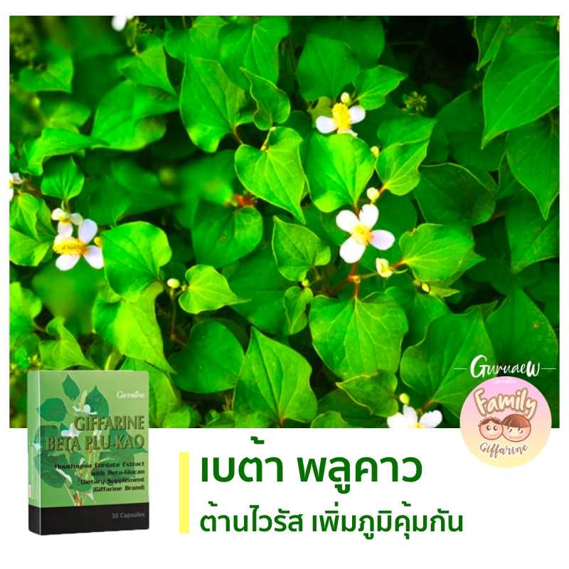 เบต้า-พลูคาว (สมุนไพรไทยช่วยเพิ่มภูมิคุ้มกัน ต้านไวรัส) Beta-Plukao พลูคาว ต้านไวรัส #อาหารเสริม